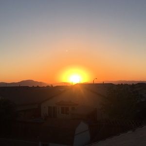 Meet your Posher, Yasmin